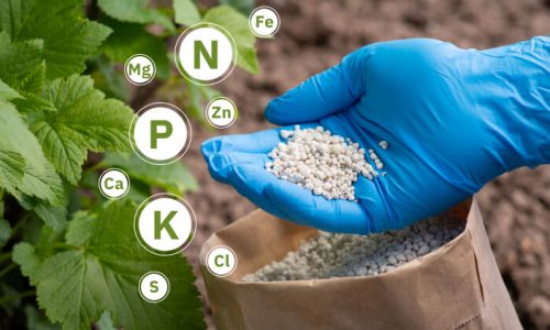 components-of-different-types-of-fertilizers